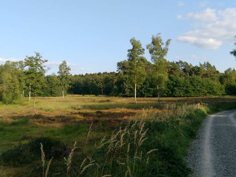 Die Ohligser Heide Korkenziehertrasse Runde von