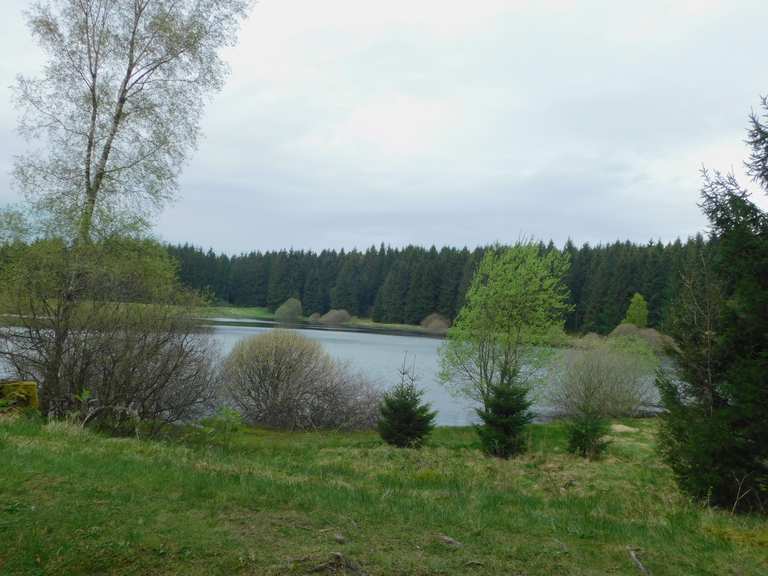 Zankwieser Teich Wanderungen und Rundwege komoot
