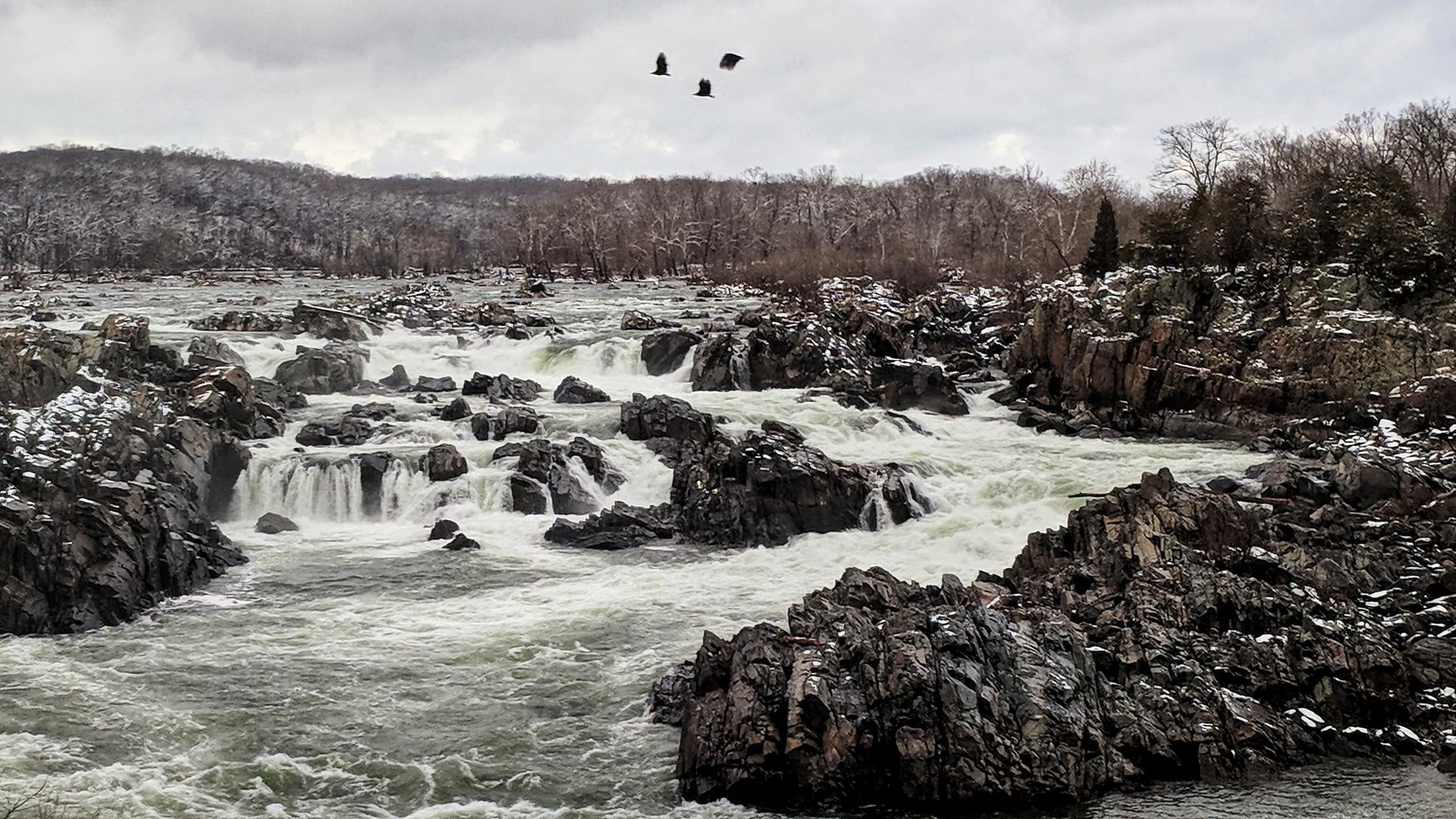 Winter river rapids with snow-dusted rocks, bare trees, and three birds flying.