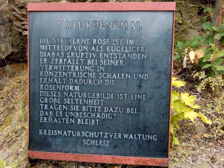 Steinerne Rose MountainbikeTouren und Trails komoot