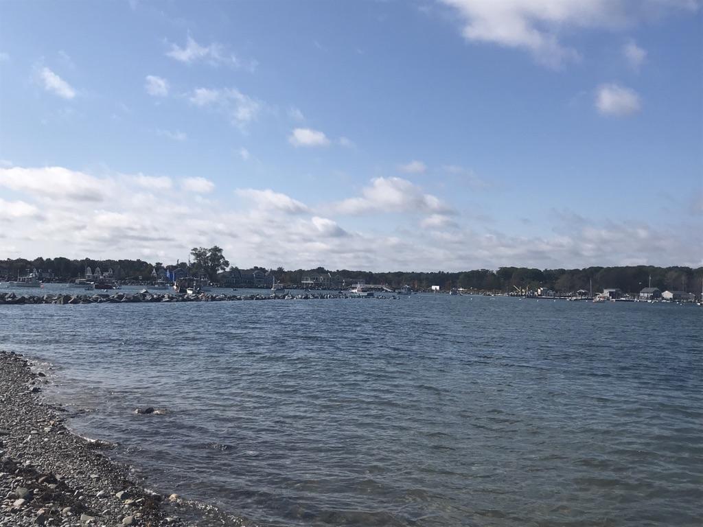 Blue water, rocky shore, distant treeline and marina under a bright sky.