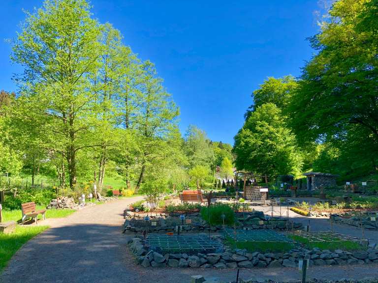 Bibelgarten Weltersbach Routes for Walking and Hiking | Komoot