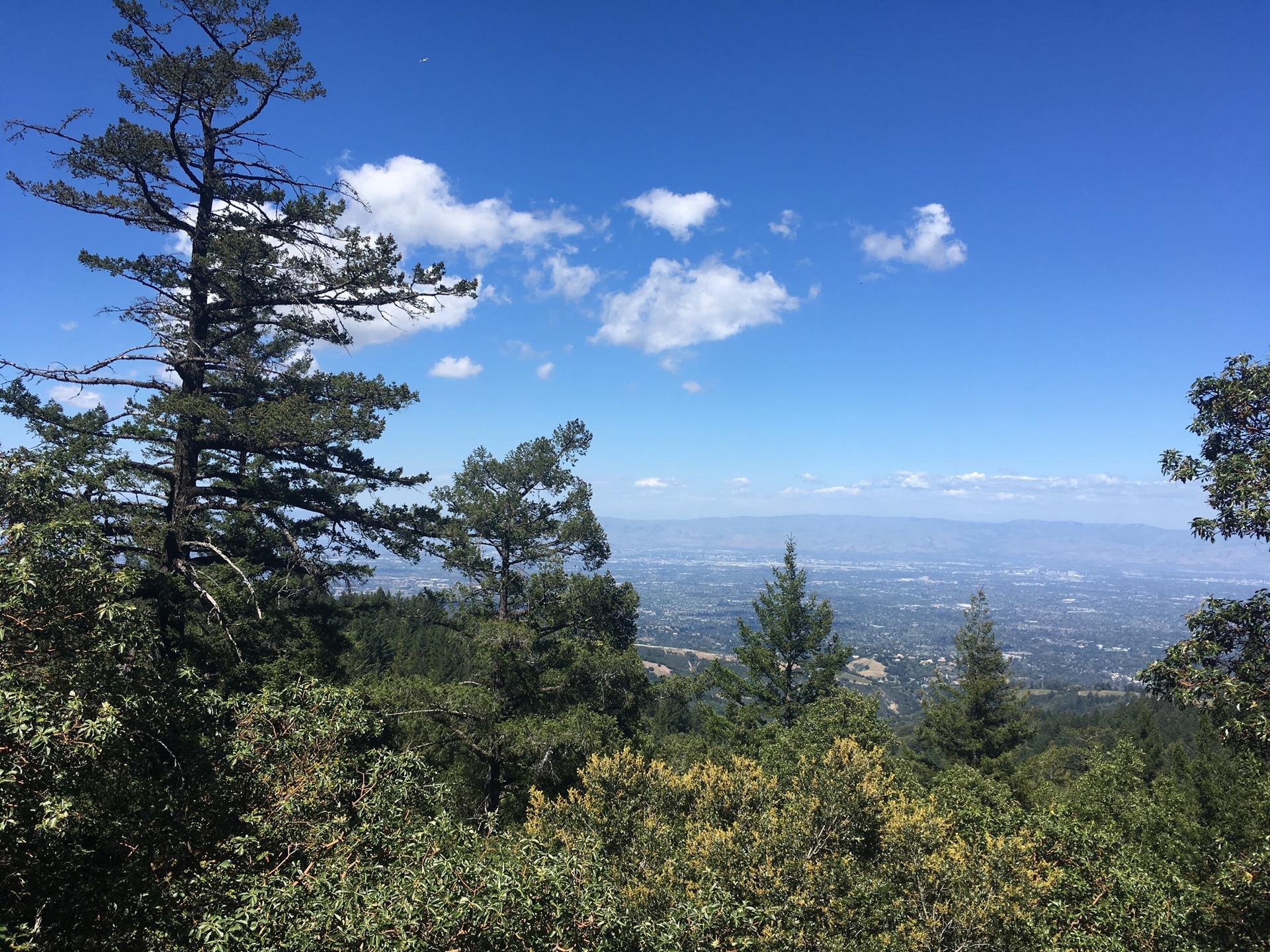 Panoramic view of a forested valley under a bright blue sky with clouds.