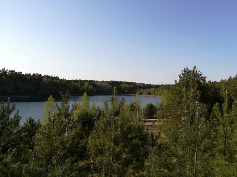 Felixsee : Radtouren und Radwege | komoot