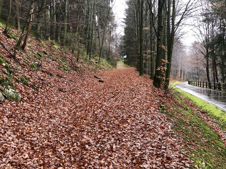 Blick auf den Biggesee - Nordrhein-Westfalen, Deutschland ...