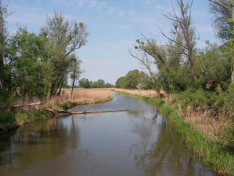Schloss Neuhardenberg und Park An der Gusower Alten Oder Runde von