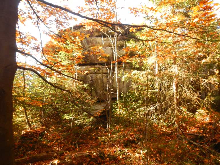 Burgruine Schellenberg: Wanderungen und Rundwege | komoot