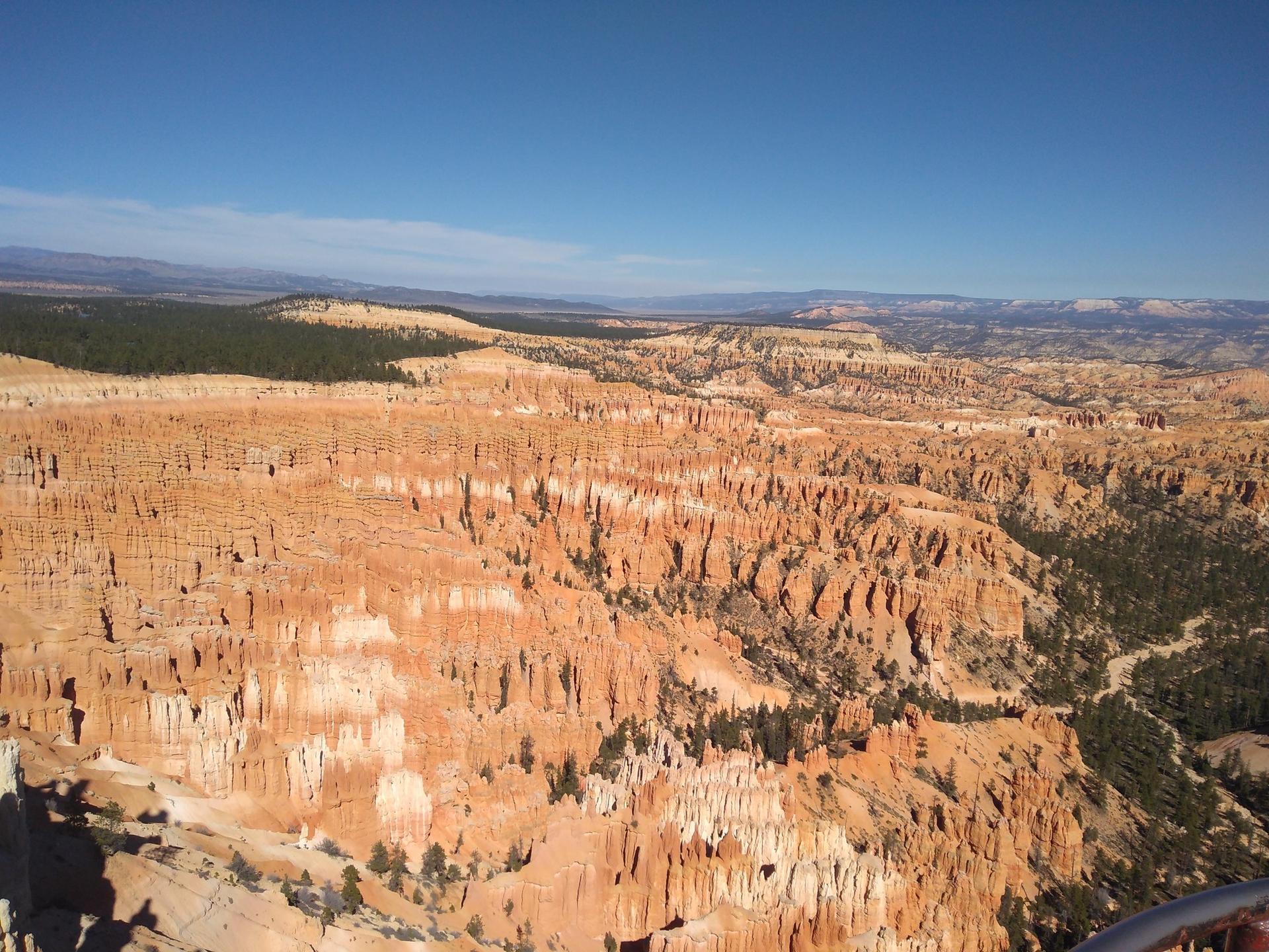 Expansive view of a deep canyon filled with countless orange hoodoos under a clear sky.