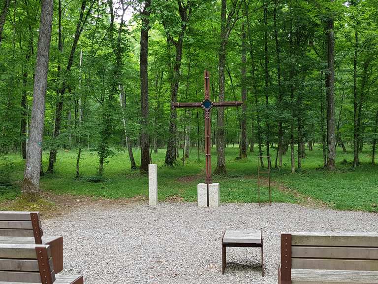 Naturfriedhof Nüdlingen: Mountainbike-Touren und -Trails | komoot