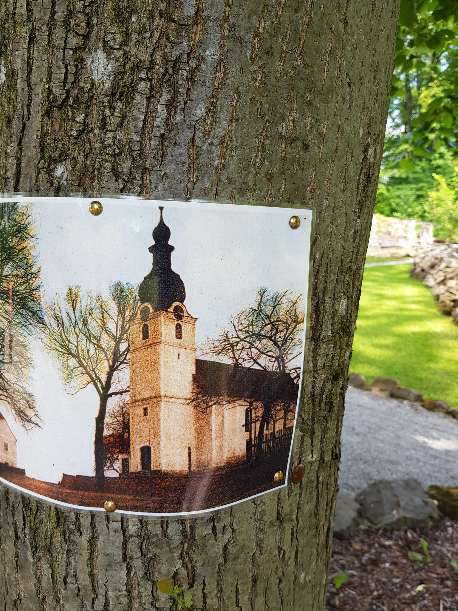 Grafenried - Verschwundenes Dorf Routes For Walking And Hiking | Komoot