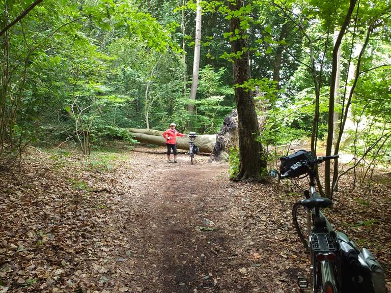 5jährige mit fahrrad mitnehmen