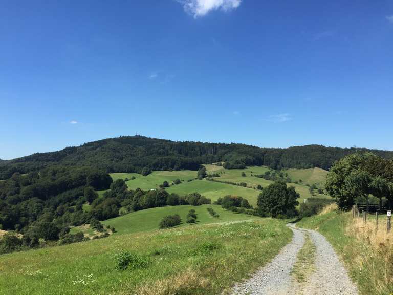 Blick zum Melibokus MountainbikeTouren und Trails komoot