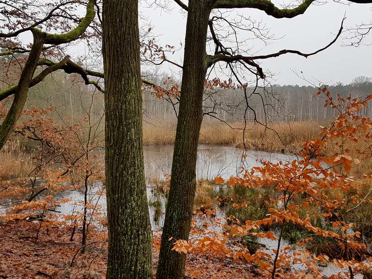 Teufelsmoor Lehrpfad - Berlin, Deutschland | Wandertipps ...