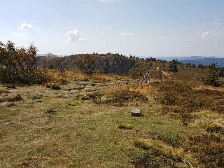 Gazon du Faing Wanderungen und Rundwege komoot