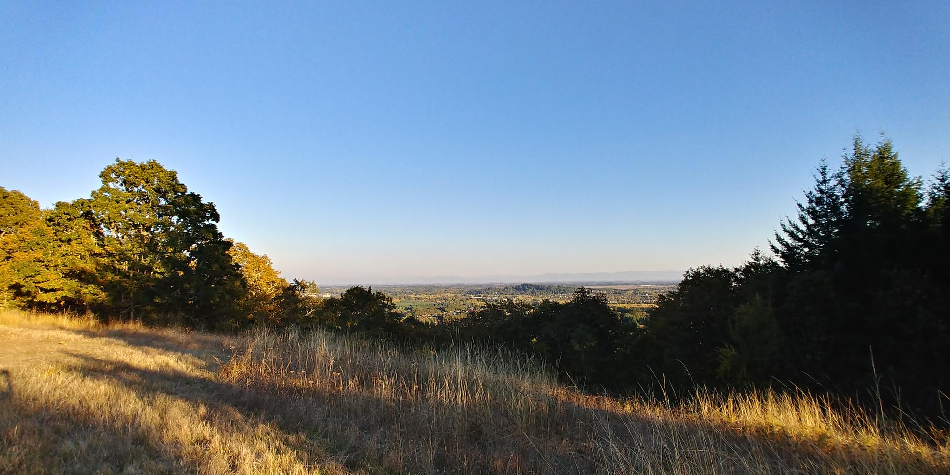 Golden hour light on a grassy hillside overlooking a vast valley.