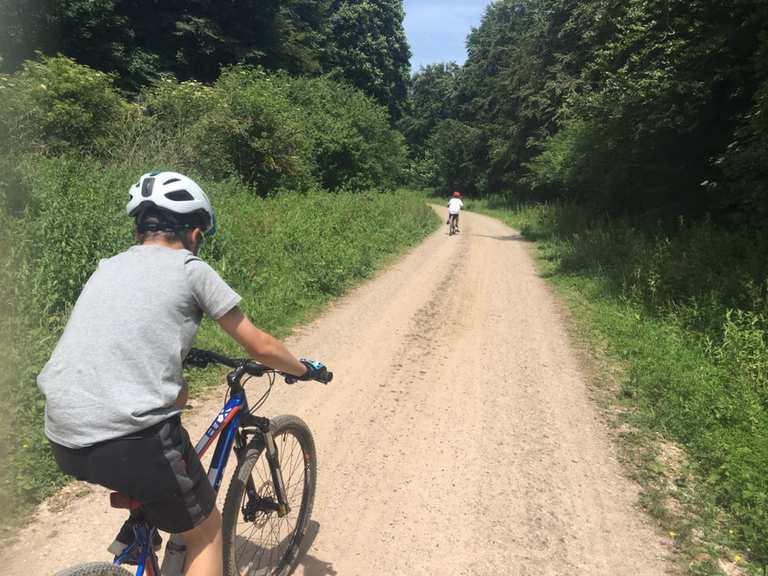 friston forest mtb trails