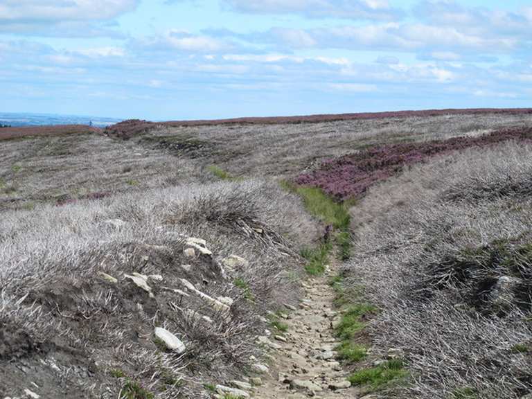Blanchard Moor & Edmundbyers Common loop — The North Pennines
