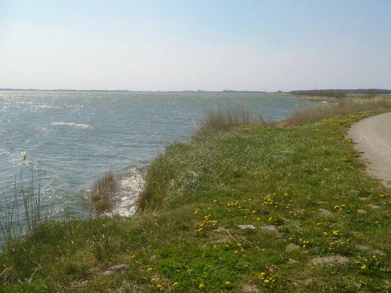 nationalpark vorpommersche boddenlandschaft fahrrad