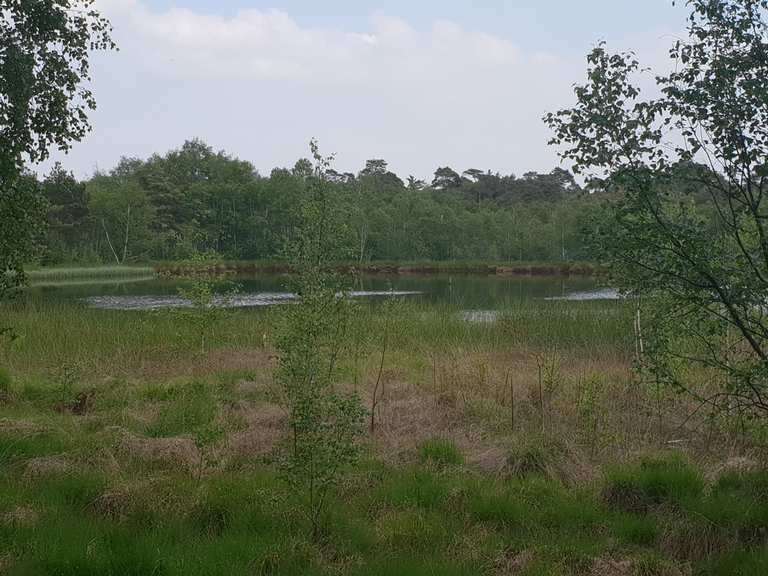 Großer Teich Venner Moor Wanderungen und Rundwege komoot