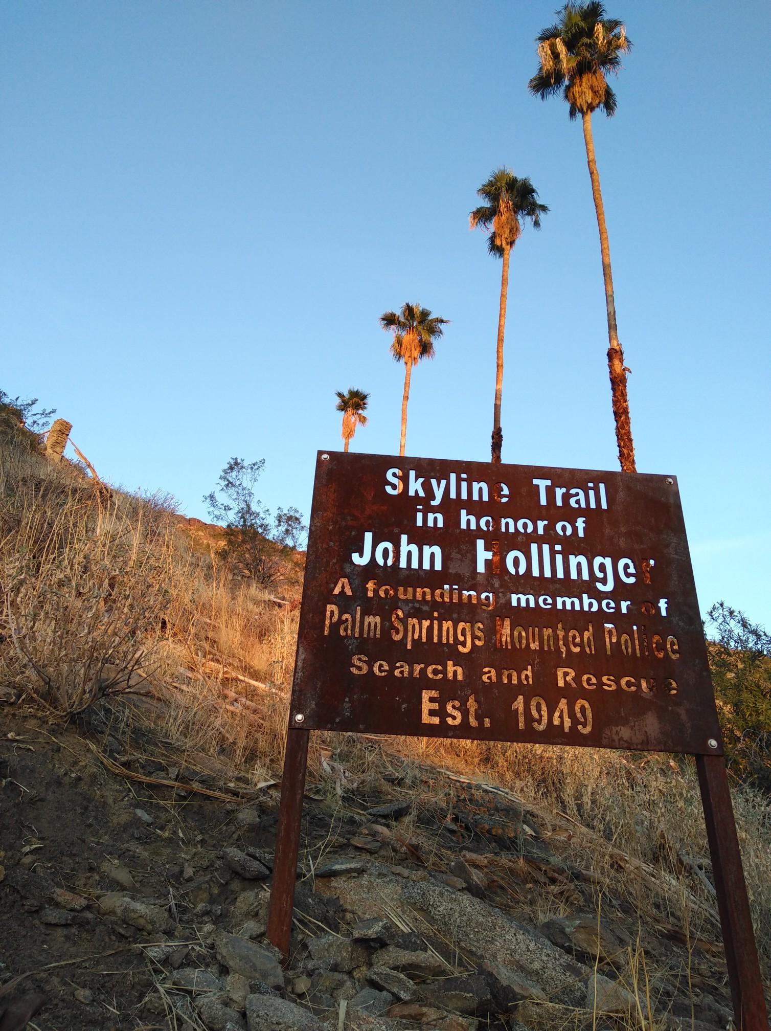 Brown trail sign with palm trees against a clear sky at sunset.