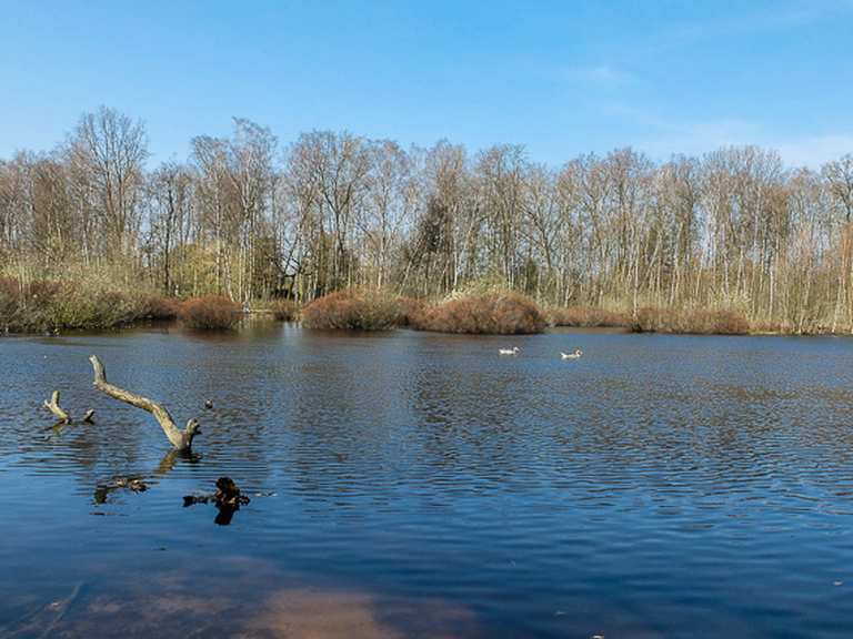 Eppendorfer Moor Hamburg, Deutschland Wandertipps & Fotos Komoot