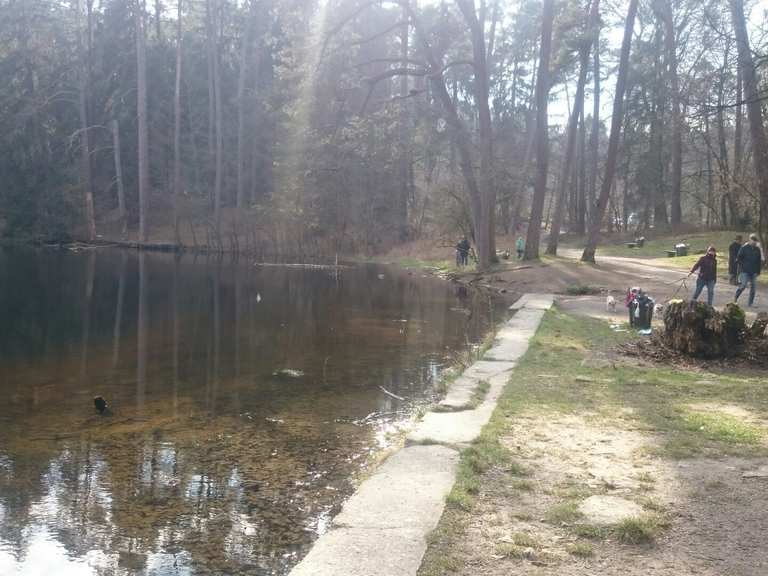 Donoper Teich MTBroutes en trails Komoot