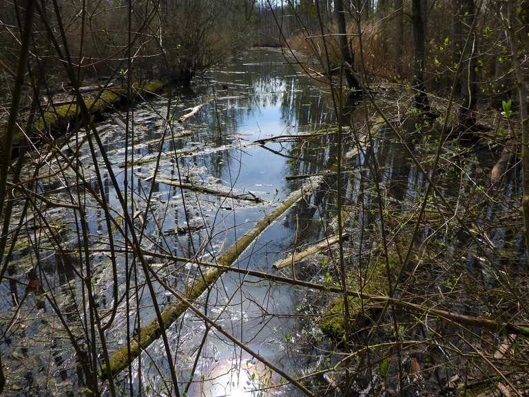 Treidlerweg: Wanderungen und Rundwege | komoot