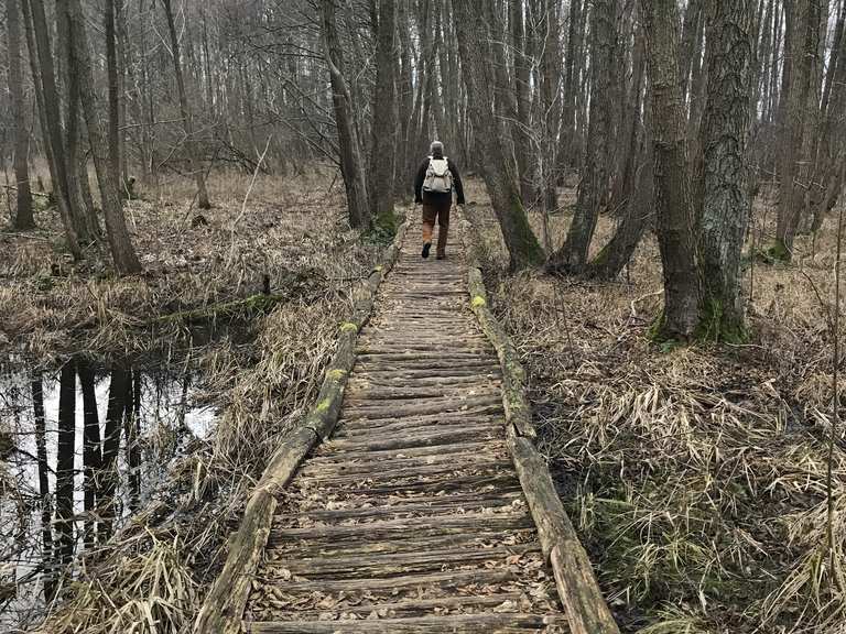 Knüppeldamm bei Storkow Wanderungen und Rundwege komoot