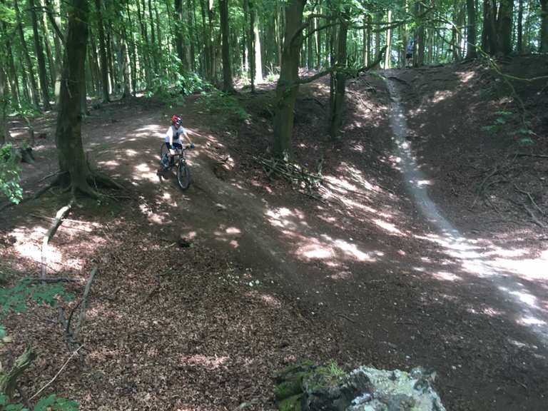 Friston Forest MTB trails Firle Beacon loop from Glynde