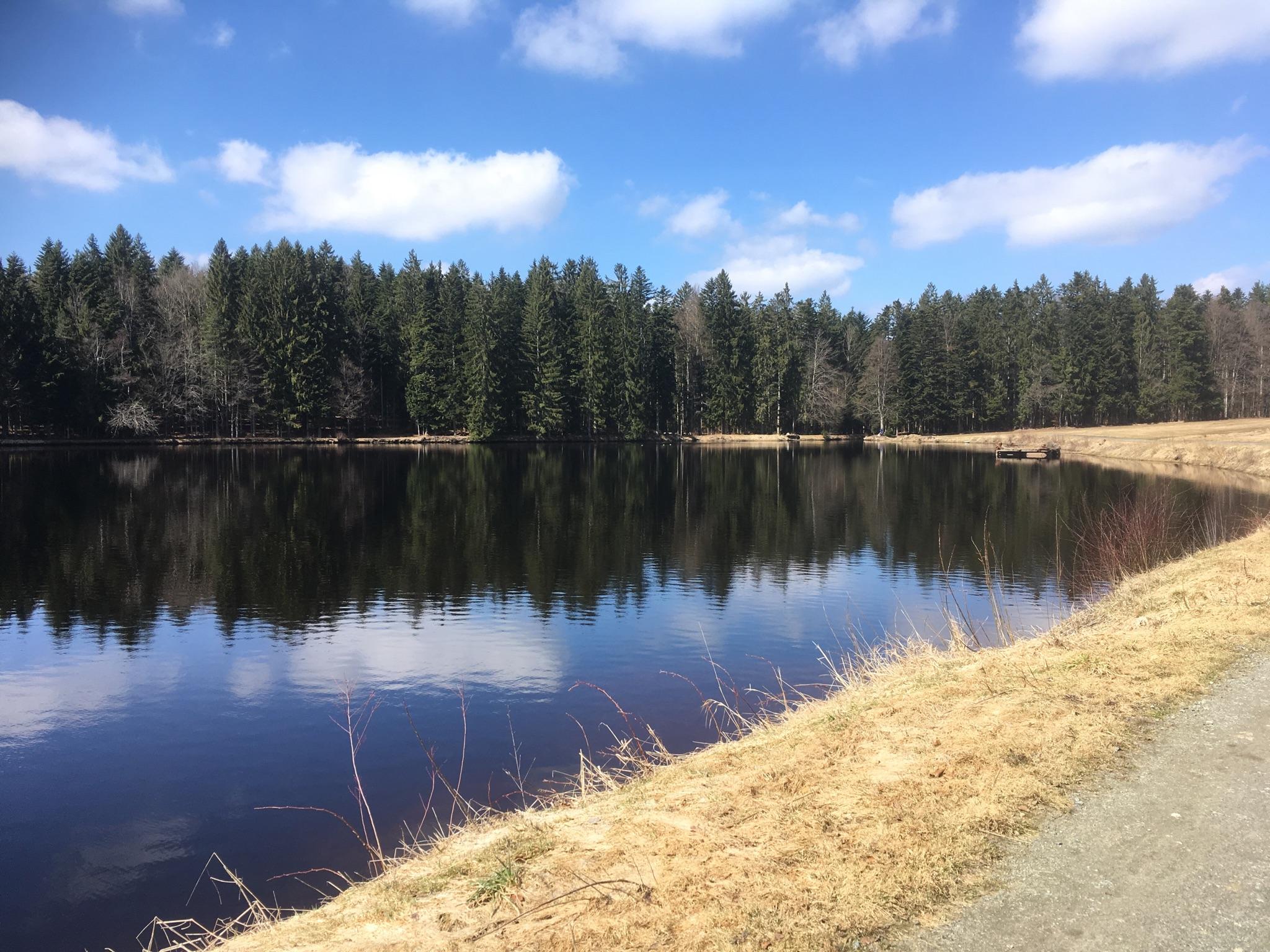 Stausee Großarmschlag - Grafenau, Freyung-Grafenau | Hiking Tips ...