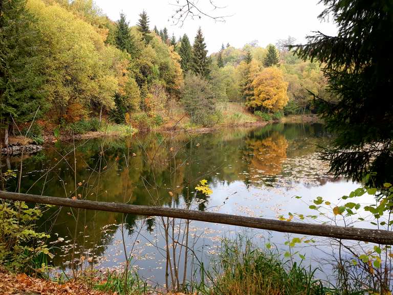 Basaltsee Oberelsbach, RhönGrabfeld Wandertipps & Fotos Komoot