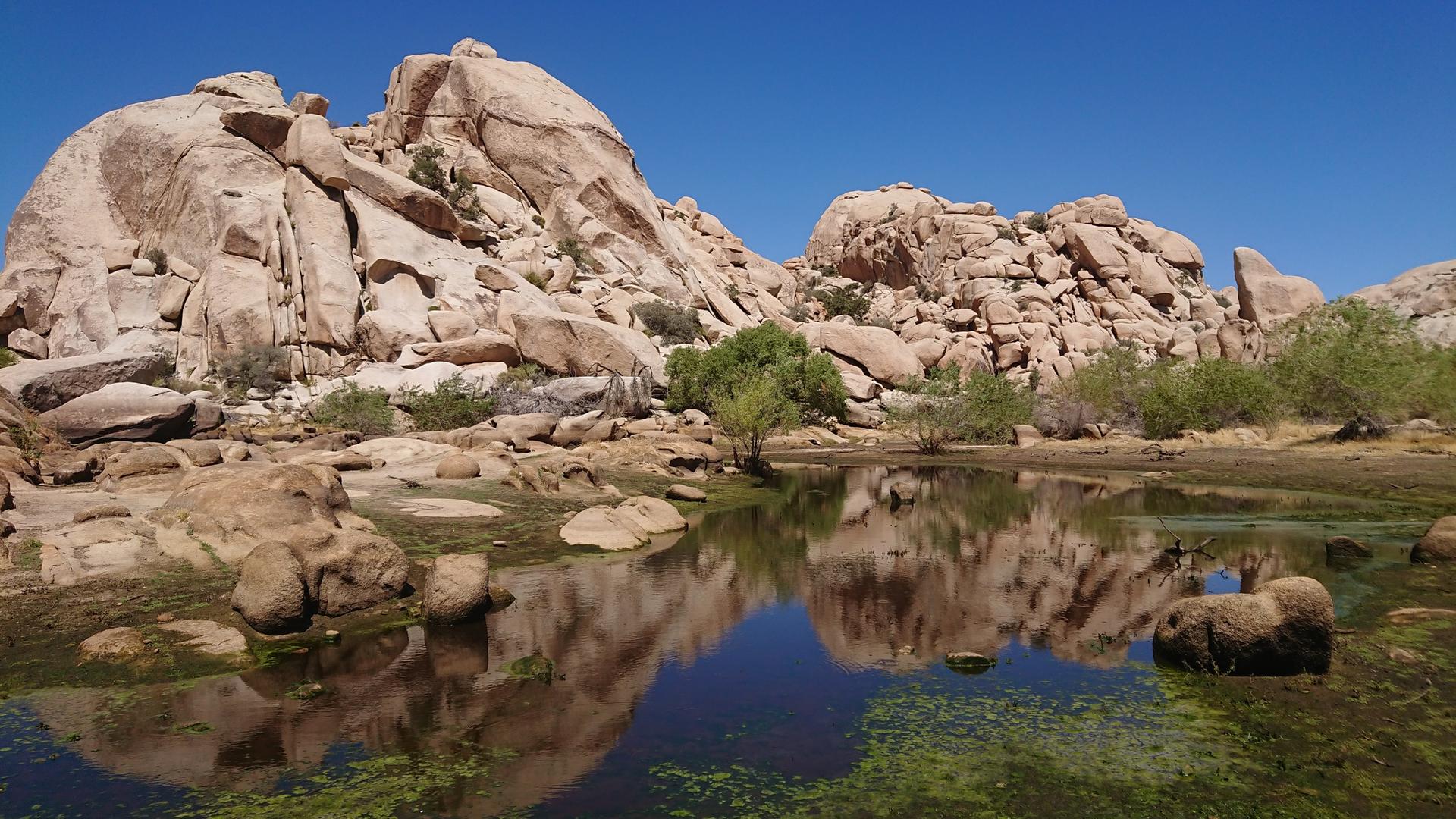 Desert pond reflecting large boulders and clear blue sky.