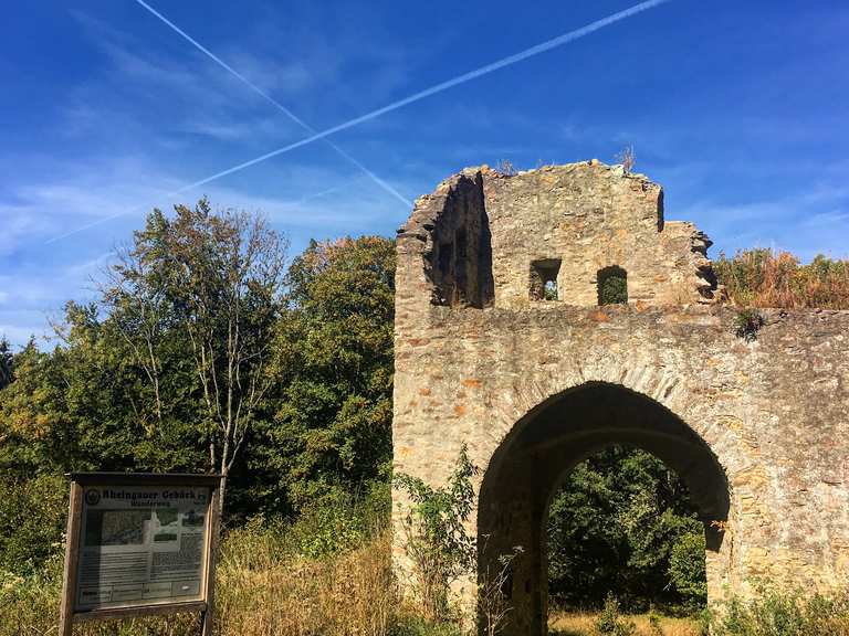 Mapper Schanze: Wanderungen und Rundwege | komoot