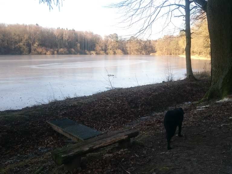 Drei Teiche (Mittlerer Teich) Itinéraires de rando et marche Komoot