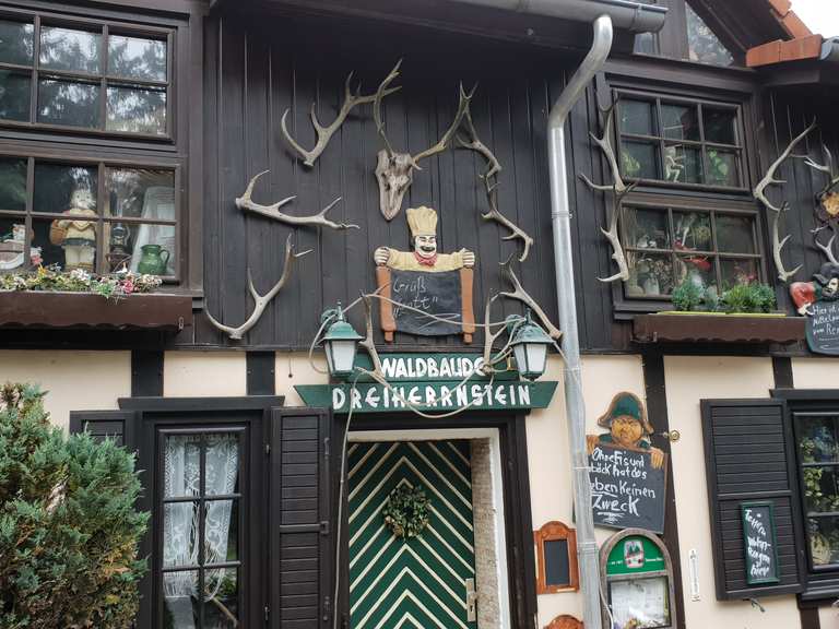 Ilmtalbrücke Langewiesen Breitengrunder Teich Runde von Neustadt am
