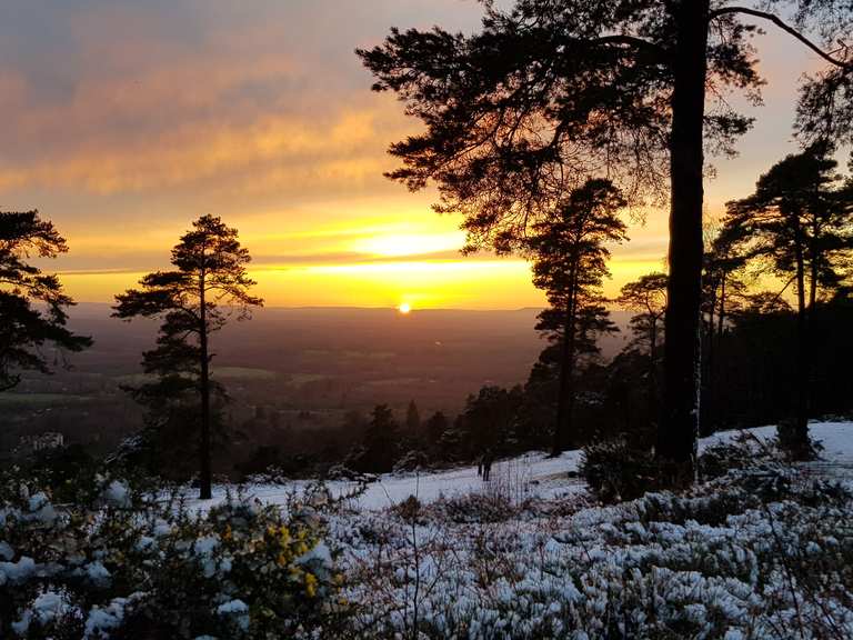 Leith Hill Routes for Walking and Hiking Komoot