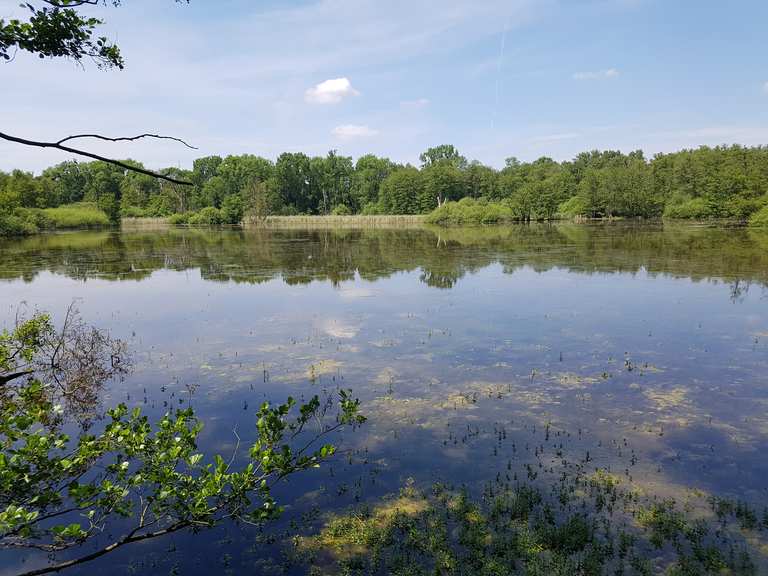 Weingartener Moor (Bohlenweg) Wanderungen und Rundwege komoot
