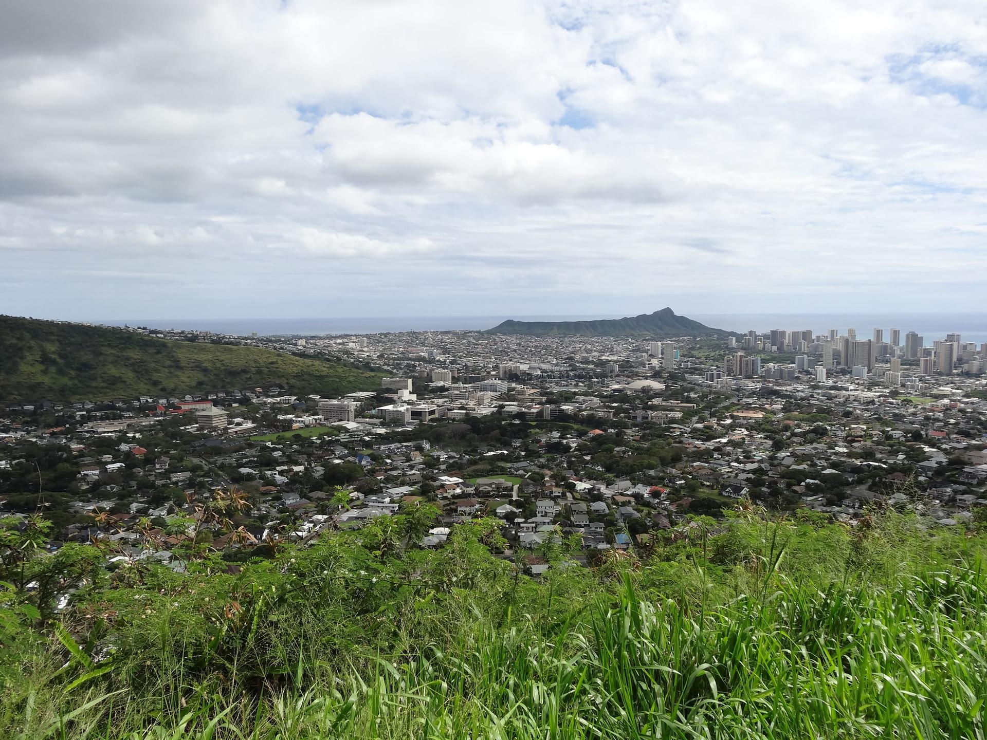 Overcast view of a distant city and mountain from a grassy hillside.