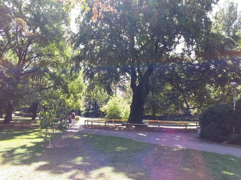 Alter Botanischer Garten Bebenhausen Tubingen Radtouren Tipps