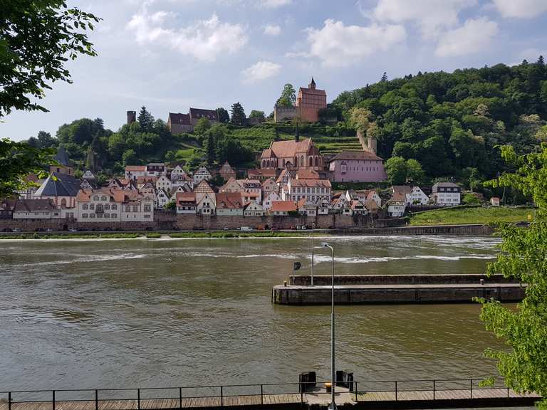 Blick auf Hirschhorn Radtouren und Radwege komoot