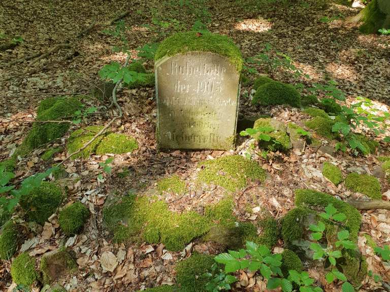 Donareiche MountainbikeTouren und Trails komoot