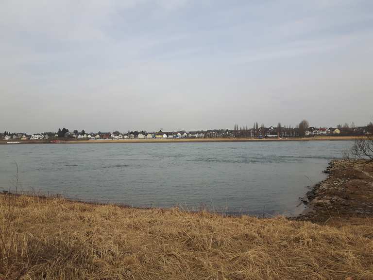 Worringen Rheinauen Köln Langel Wanderungen und Rundwege komoot