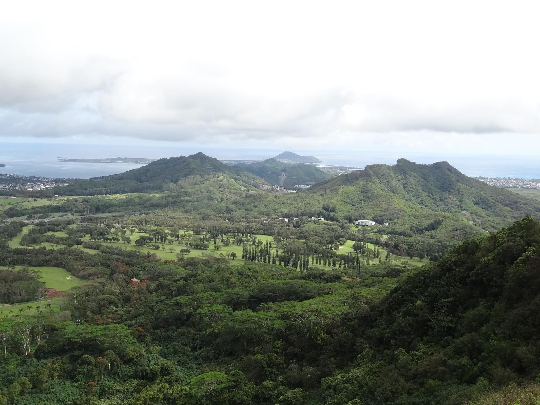 Expansive view of green, forested mountains and distant ocean under cloudy skies.