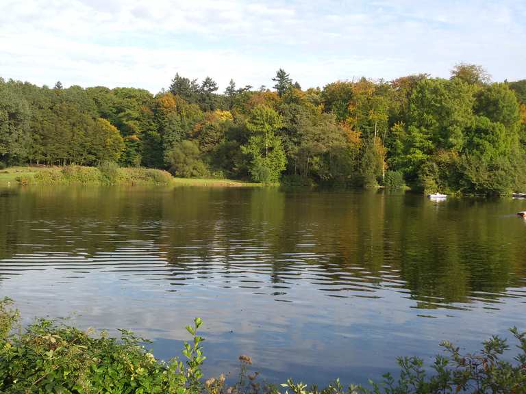 Steinbrücker Teich Cycle Routes and Map Komoot