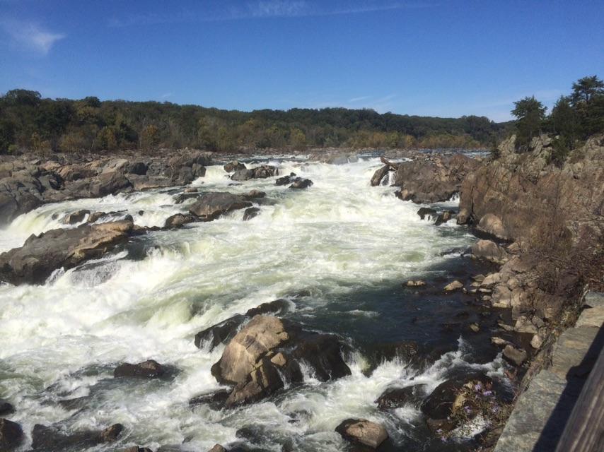 Powerful river rapids and small waterfalls cascade over numerous rocks on a sunny day.