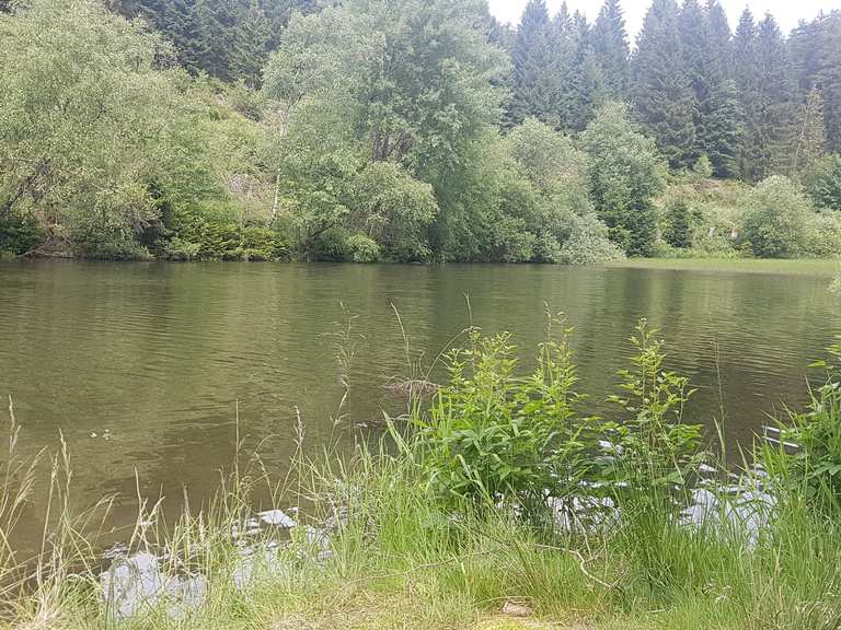 Oberer Spiegeltaler Teich Routes for Walking and Hiking Komoot