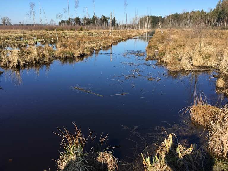 Moorlandschaft Bei Haspelmoor Das Haspelmoor Runde Von Althegnenberg