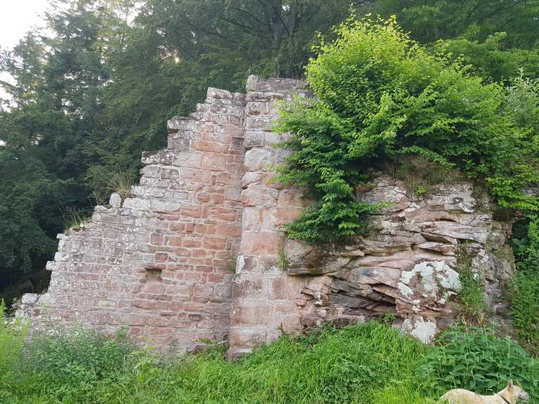 Burg Breitenstein Wanderungen und Rundwege komoot