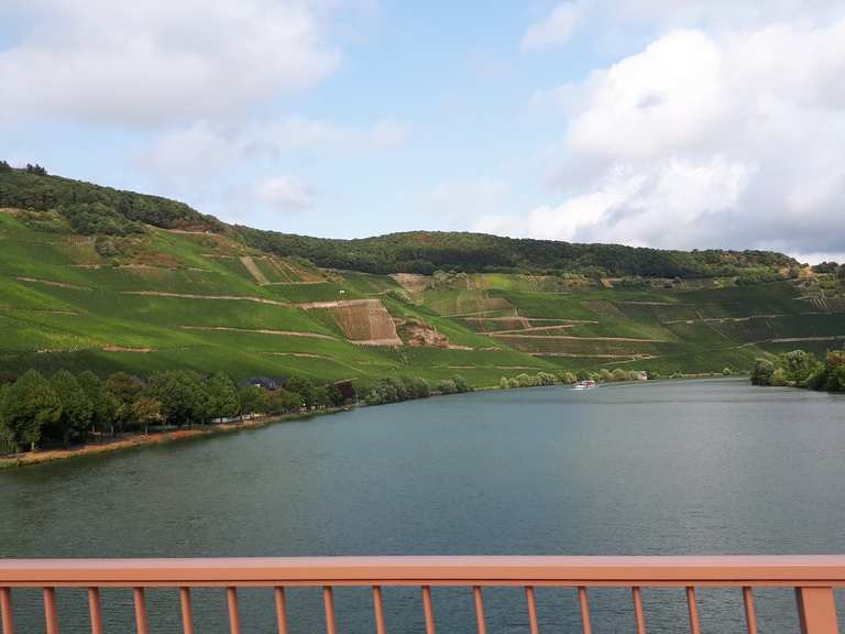 Moselbrücke Piesport Radtouren und Radwege komoot