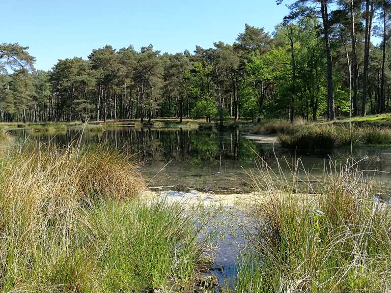 Biotop Moor und Heidelandschaft Nettetal, Viersen Wanderweg Komoot